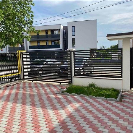 Cozy Apartament With 2Rooms Timişoara Exterior foto