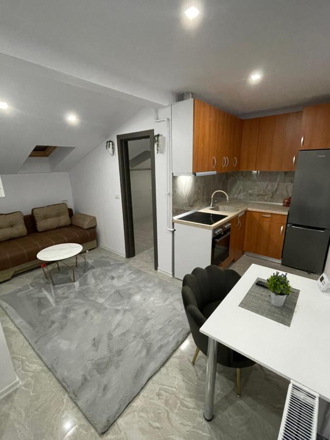 Cozy Apartament With 2Rooms Timişoara Exterior foto