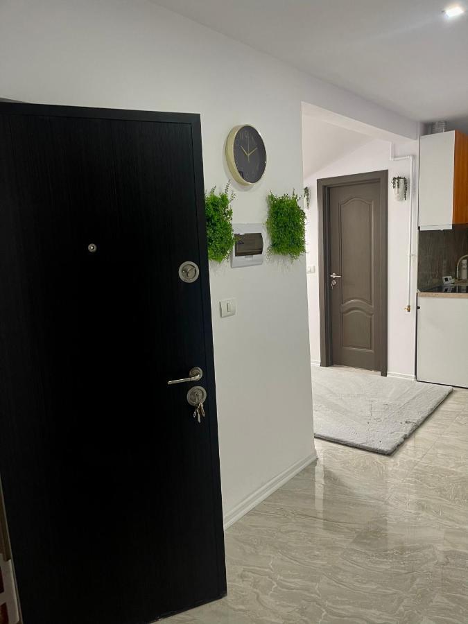 Cozy Apartament With 2Rooms Timişoara Exterior foto